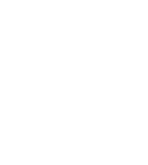 NetZForce Logo 1