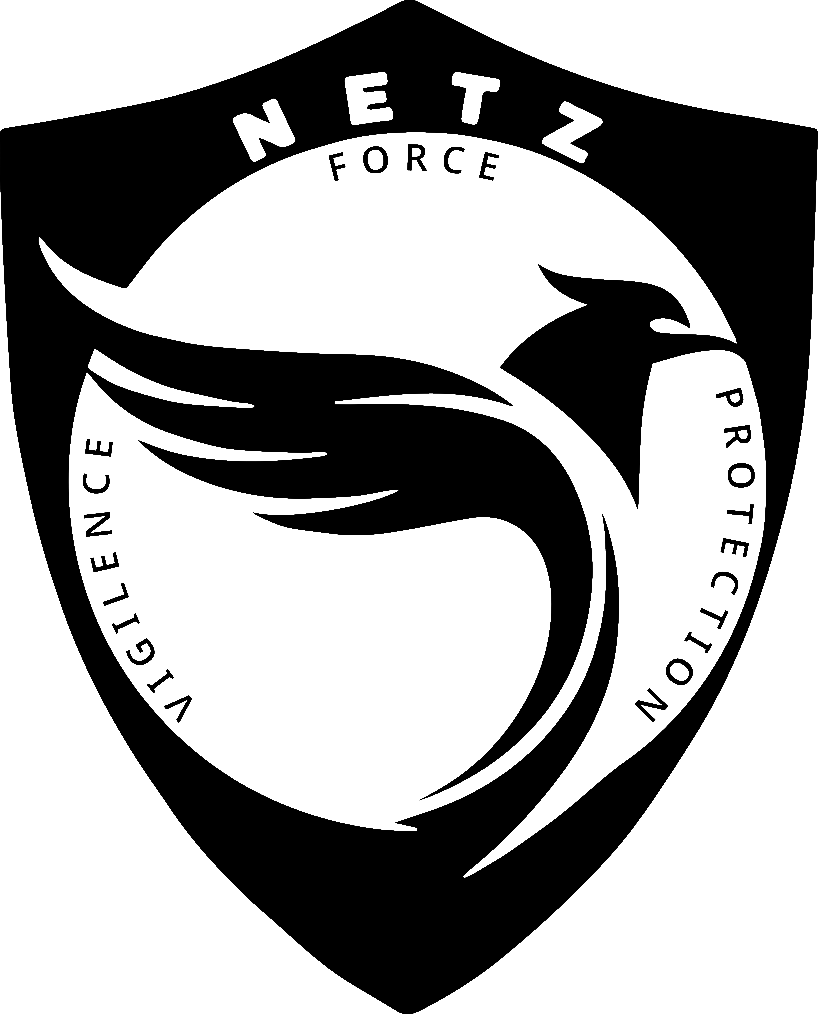 NetZForce Logo